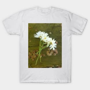 A Bunch of Daisies by Avril Thomas T-Shirt